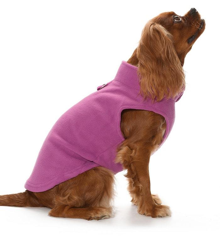 Küçük ve Orta Irk Köpek Sweater - Topi Mor