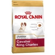 Royal Canin Cavalier King Charles Junior Yavru köpek Maması 1,5 Kg