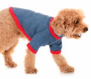 Küçük ve Orta Irk Köpek Sweatshirt - Lusca Lacivert - Köpek Kıyafeti