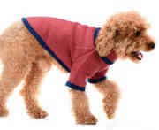 Küçük ve Orta Irk Köpek Sweatshirt - Lusca Bordo - Köpek Kıyafeti