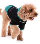 Küçük ve Orta Irk Köpek Sweatshirt - Flapon - Köpek Kıyafeti