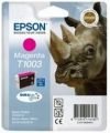 Epson T100340 Mürekkep Kartuş