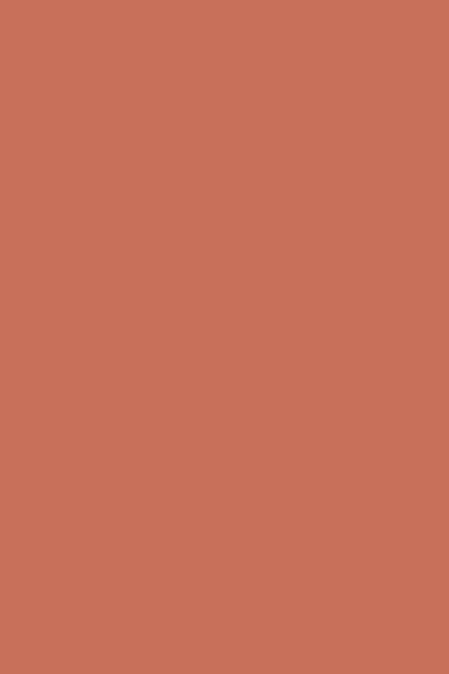 Flormar Allık - Satin Matte Blush On 005 Peach Brown 8690604395651 31000034