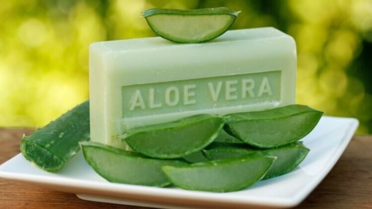 Biotama Aloe Vera Özlü Sabun 150 g