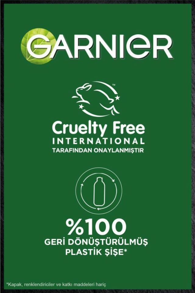 Garnier Micellar Kömür Kusursuz Makyaj Temizleyici Jel 400 Ml 3600542457446