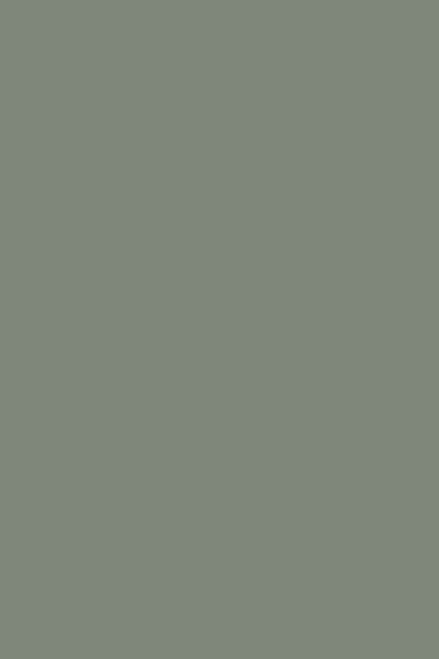 Flormar Quartet 4 lü Far Eye Shadow 403 Green Garden