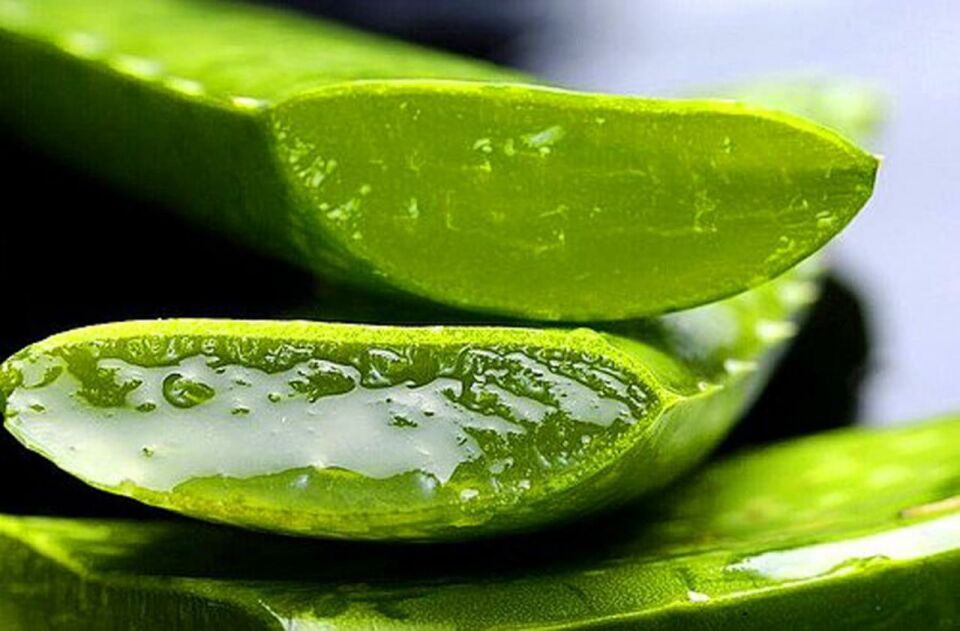 Bitkident Aloe Vera Nemlendirici Jel 300 Ml