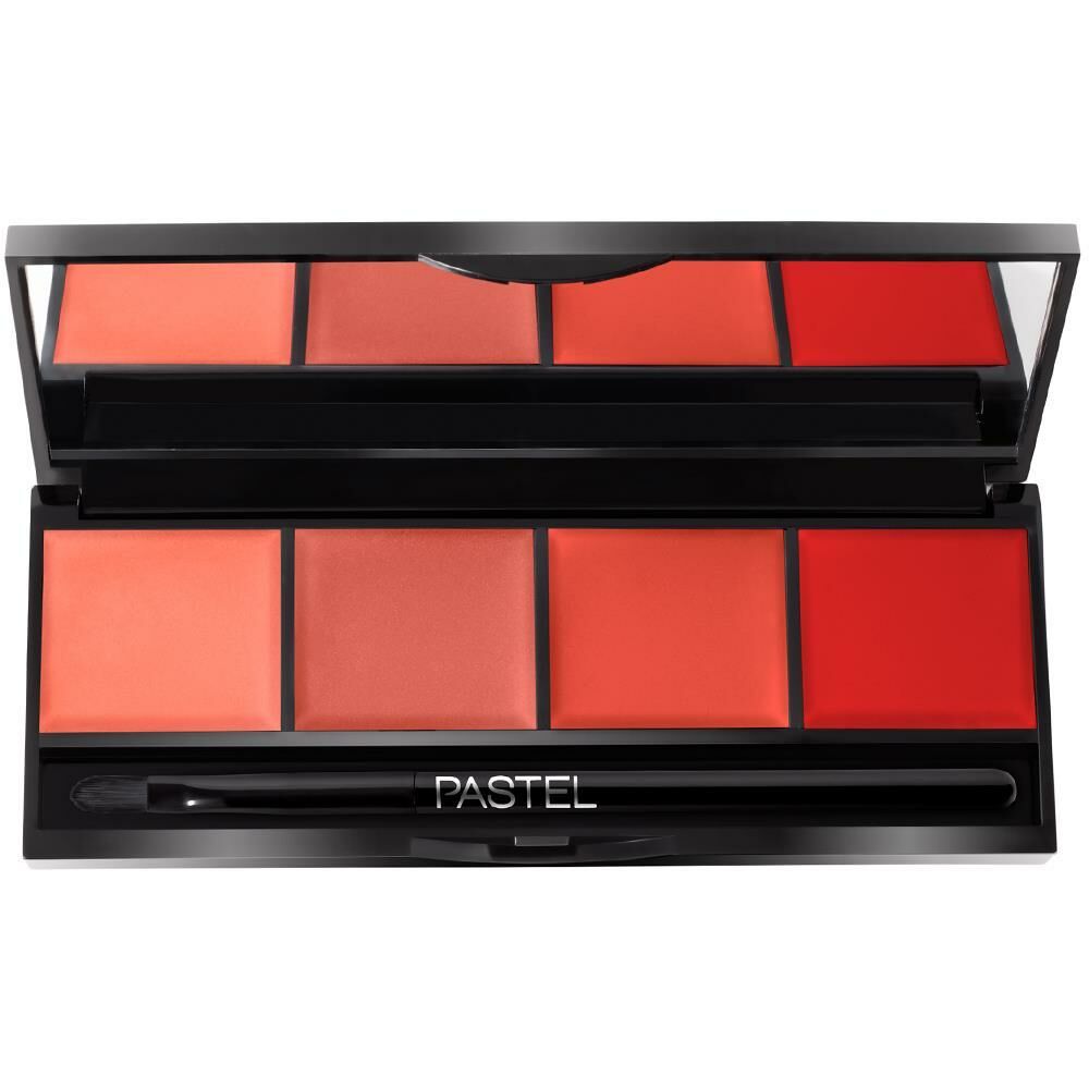 Pastel Profashion Rouge Palette 03 Ruj Paleti 4 lü
