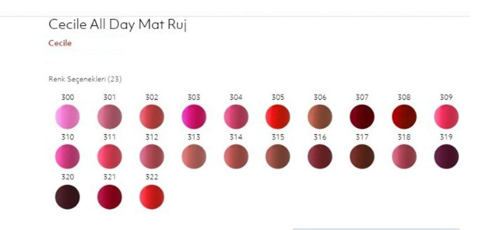 Cecile All Day Matte Rouge Mat Ruj 319 Koyu Morumsu Bordo