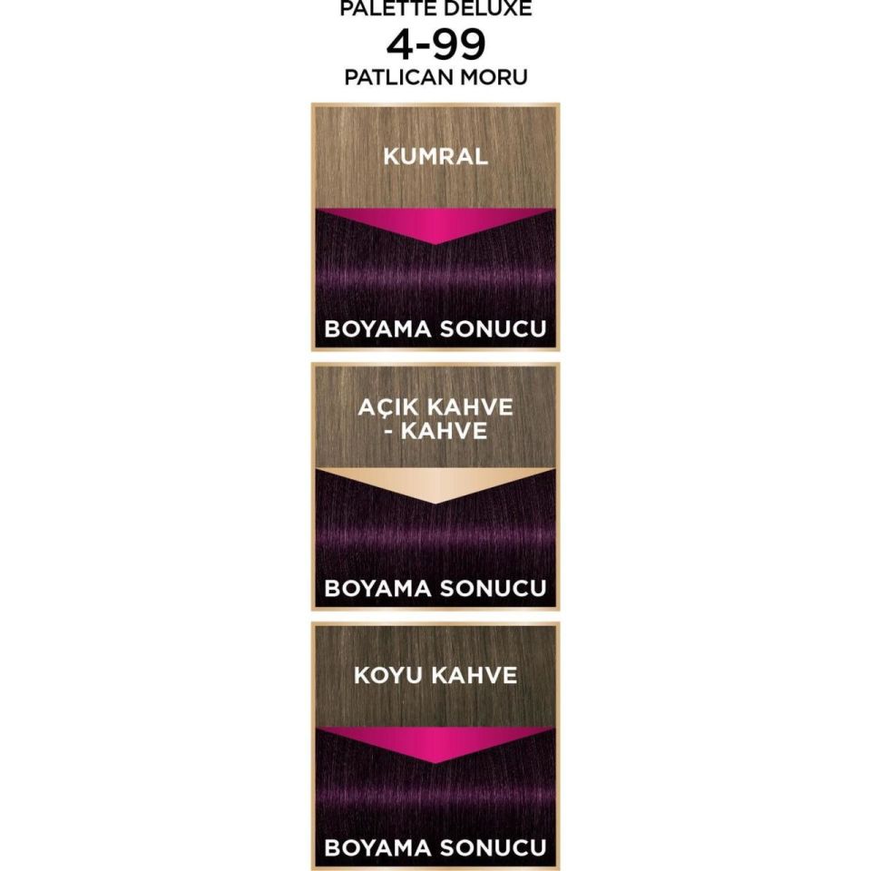 Palette Deluxe Saç Boyası 4.99 Patlıcan Moru