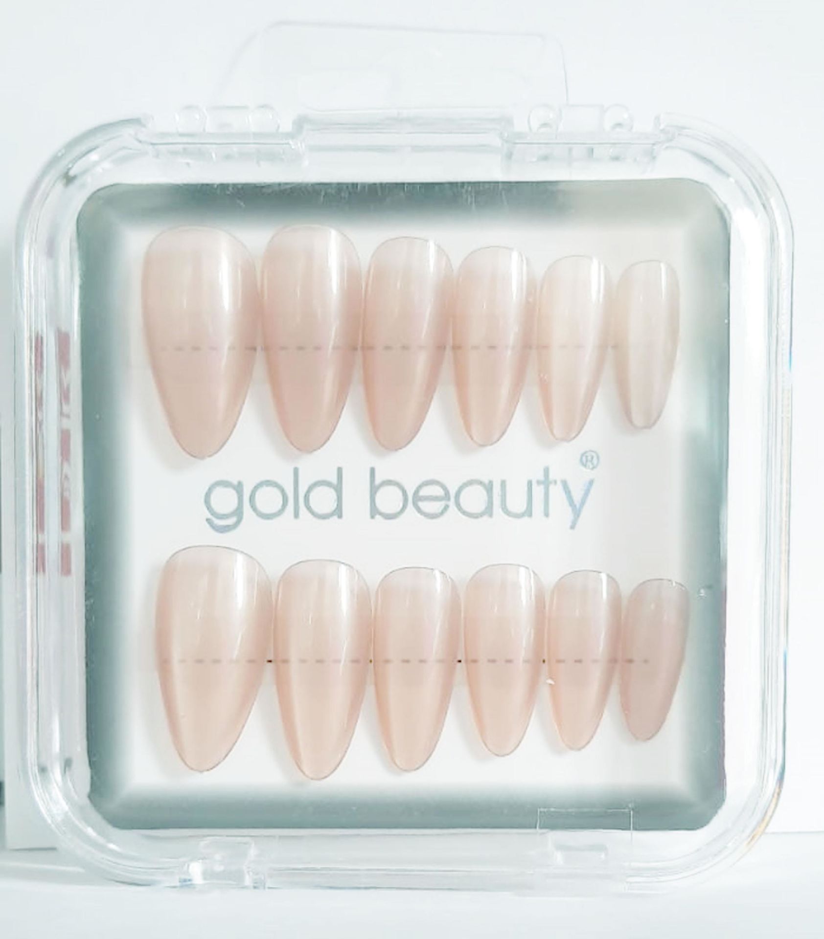 Gold Beauty Kedi Gözü Takma Tırnak 12 li EP-1527 - 11 Pudra