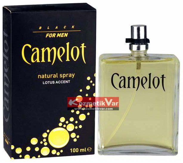 Camelot Lotus Accent Erkek Parfüm 100 ml Lac.ESS