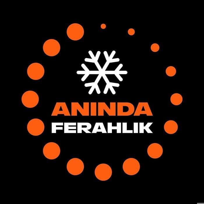 Axe Duş Jeli Copper Santal Premium Collectio 3 in 1 Sandal 300 Ml Yüz, Vücut , Saç