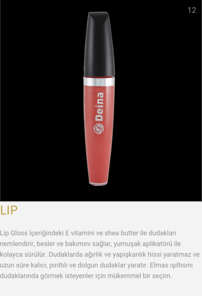 Deina Daylong Matte Lip Color Ruj 12