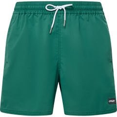 Oakley Robinson Rc 16'' Beachshort Erkek Şort