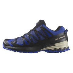 Salomon XA PRO 3D V9 Gore-Tex Erkek Ayakkabı