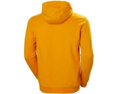 Helly Hansen HH Logo Hoodie