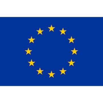 Avrupa Bayrağı ( Raşel Kumaşa Baskılı )