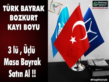 Bozkurt Masa Bayrağı Üçlü – Krom Kaplama Direkli