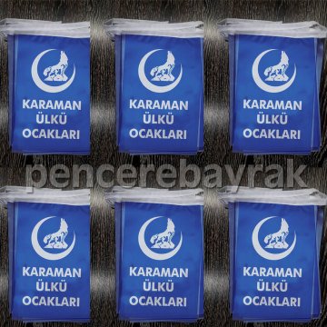 İpe Dizili Hilal'li Mavi Bozkurt Bayrağı 20x30 cm – 25 Metre