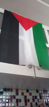 Filistin Bayrağı 40x60 Cm Raşel Kumaşa Baskılı Plastik Sopalı Elde Sallama Bayrak