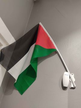 10 adet Filistin Bayrağı 40x60 Cm Raşel Kumaşa Baskılı Plastik Sopalı Elde Sallama Bayrak