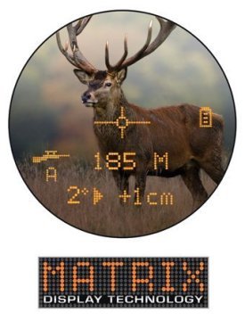 BUSHNELL FUSION 8x32 DÜRBÜN