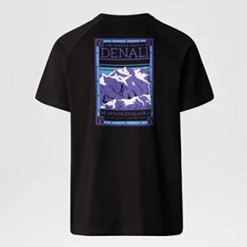 The North Face M S/S Box Nse Celebration Tee TNF Black Erkek Tişört
