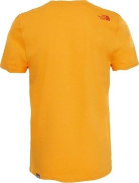 The North  Face M S S Simple Dome Tee Erkek