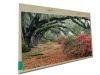 AT070TN83 V1 (7'' TFT LCD Modül)
