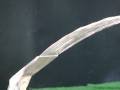 Vals ( Film) Nozul - Paslanmaz (Gushing Nozzle 115-15 T)