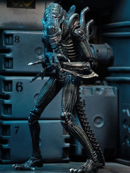 Aliens - Ultimate Aliens Warrior (1986) Aksiyon Figürü (Mavi)