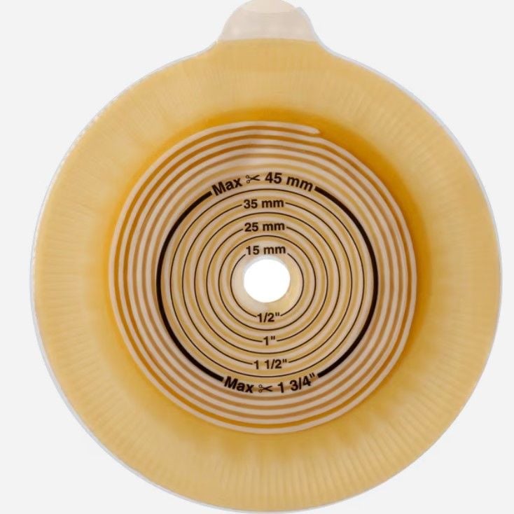 Alterna® Taban Plakası