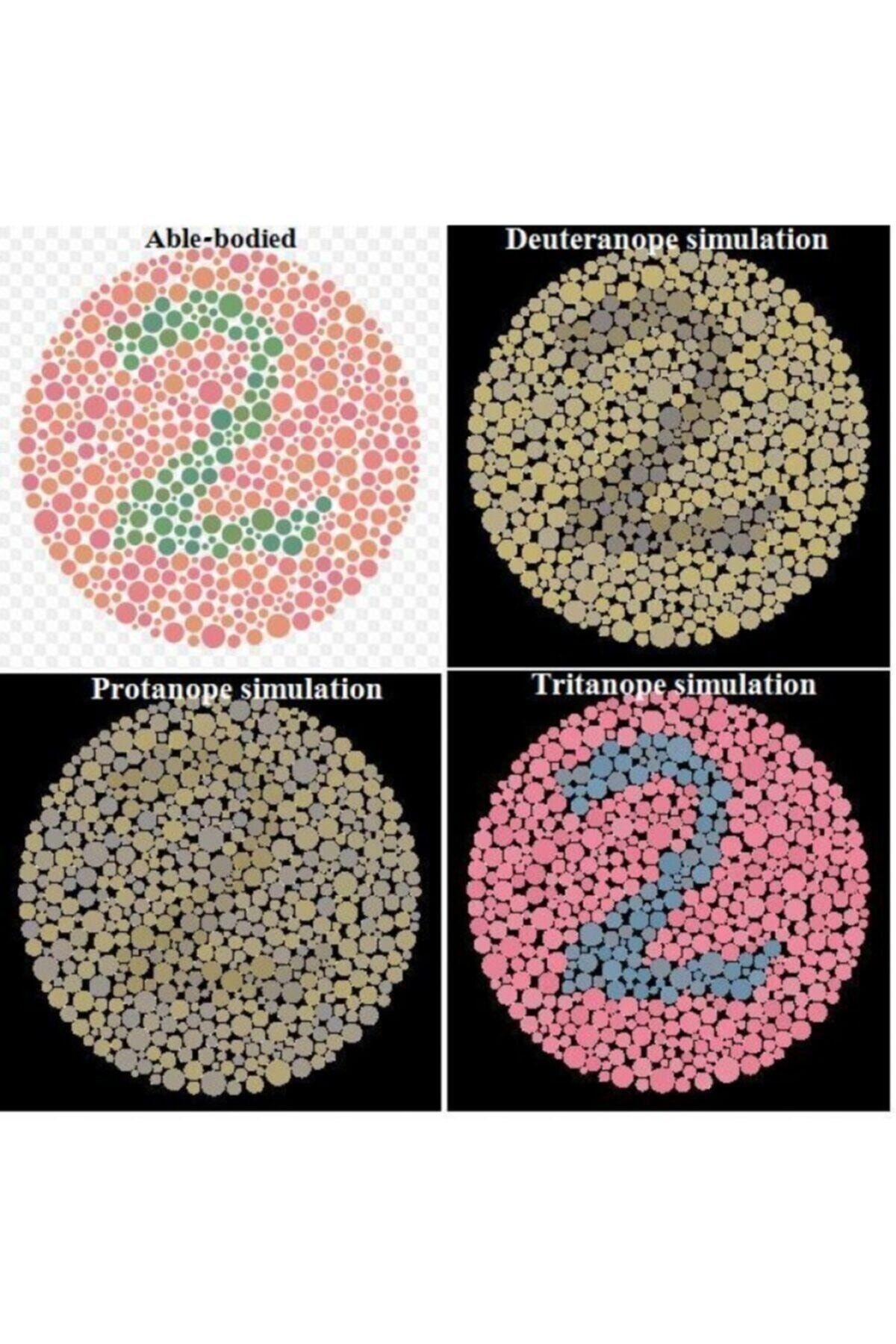 Renk Körlüğü Atlası