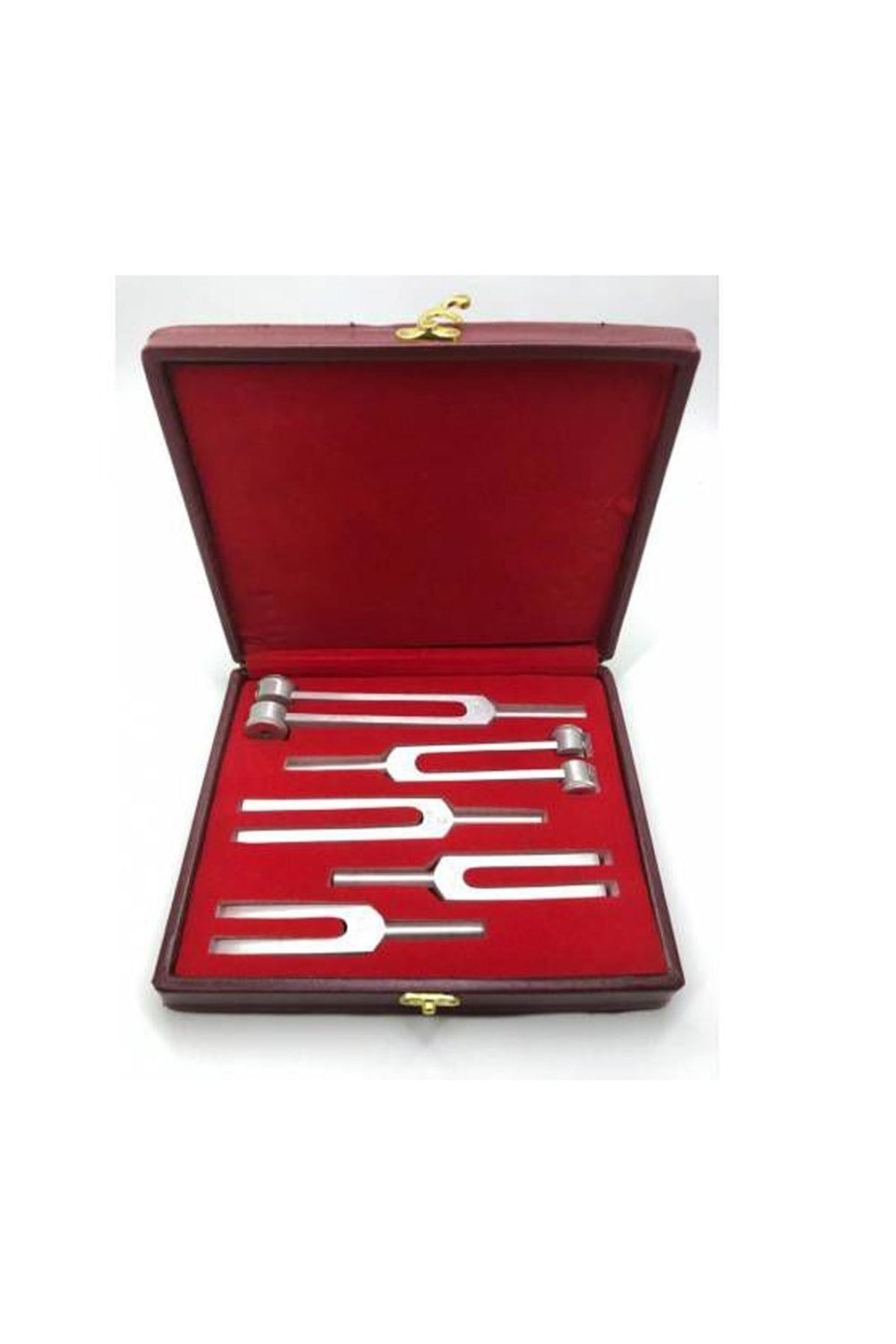 5'li Diapozon Set, Frekans 128, 256, 512, 1024 Ve 2048 (diyapozon Set)