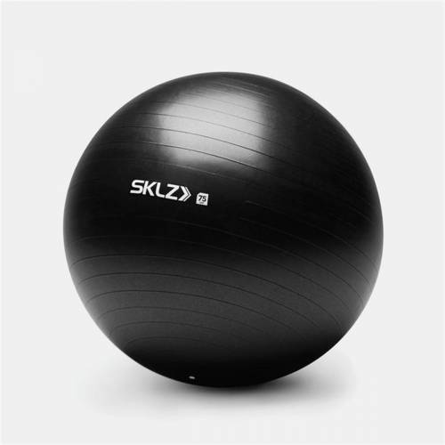 Msd 85cm Gym Ball Pilates Topu Siyah Renk