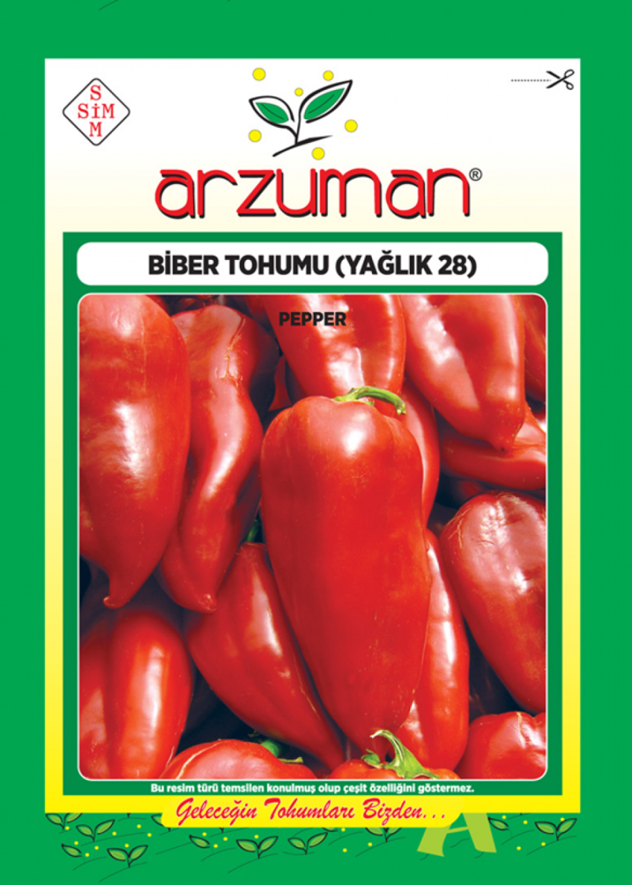 YAĞLIK KAPYA  25gr Biber Tohumu