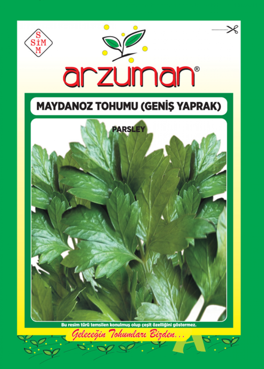 D'Giant İtaliana 25gr Maydanoz Tohumu