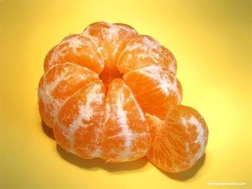 Mandalina Fidanı Meyve verir durumda 140-160 Cm