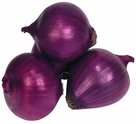 Mor Soğan 5gr Soğan Tohumu