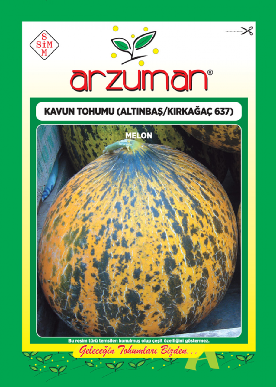 Kırkağaç 637 10gr Kavun Tohumu