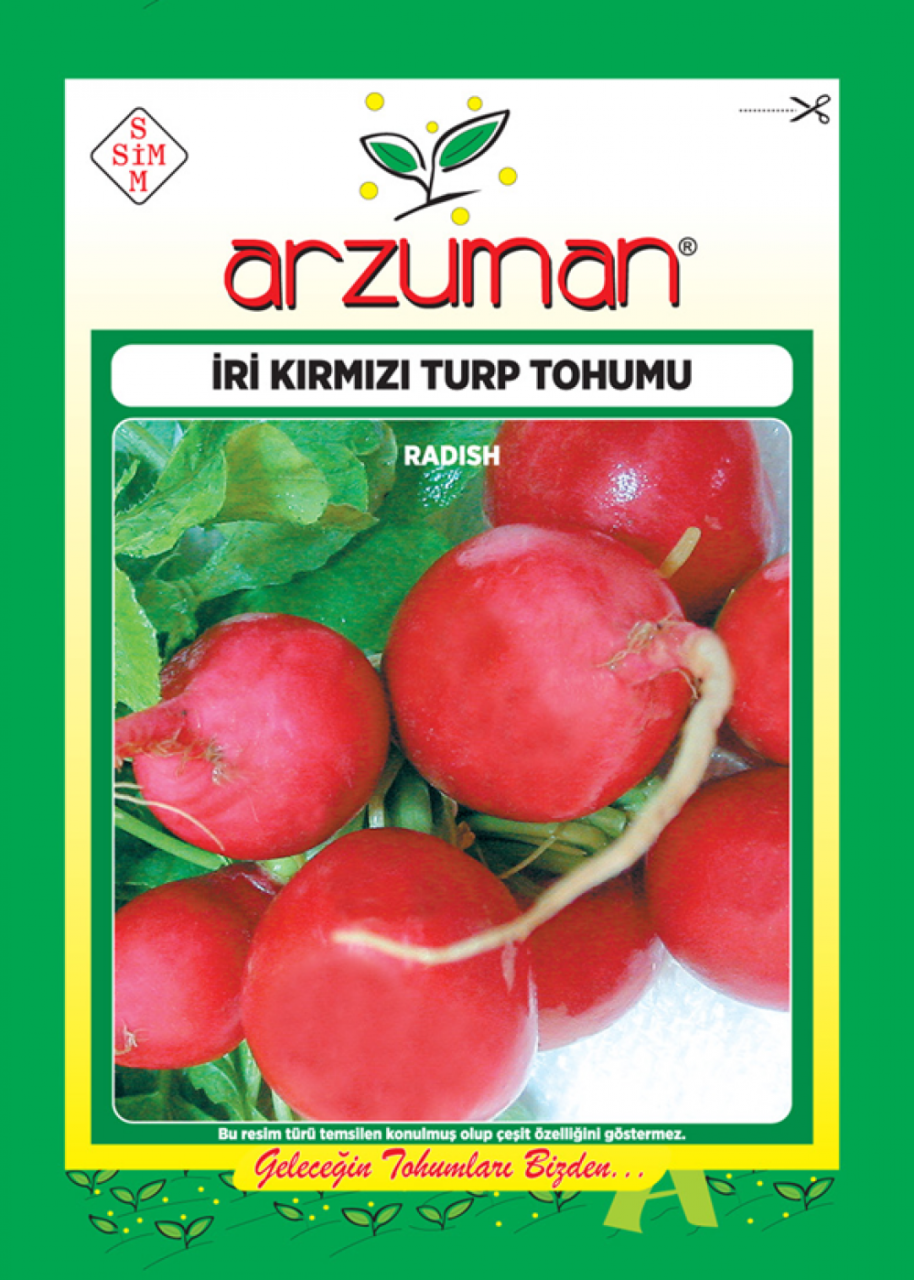 Kırmızı İnci 100gr Turp Tohumu