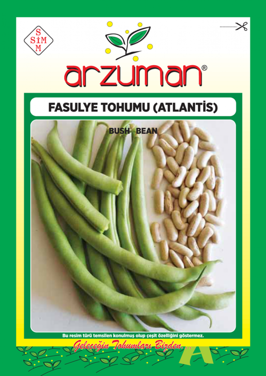 Atlantis (Kırkgünlük) 50gr Fasulye Tohumu