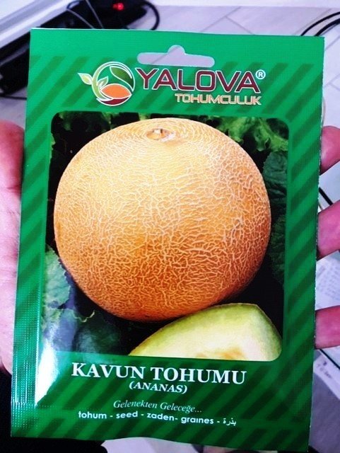 Kavun Tohumu Ananas Çeşidi Pakette 10 Gram Sertifikalıdır